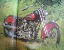 indianpoop.webp