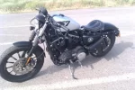 IMAG0178.webp