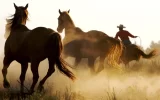 Cool-Marlboro-Country-1280x800.webp