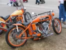 img1373bsg8.webp