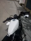 DSC00051_600x800.webp