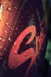7.webp