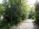 03.webp