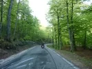 04.webp