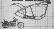 born of softail!.webp