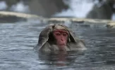 mono-agua.webp