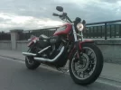 2011-05-04-20h18m46 _Harley_1280.webp
