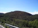 Foto0033.webp