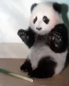 ¡tengomiedo!.webp