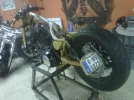 harley.webp