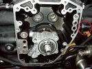 imgp2051.webp