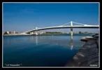 el pasdor.webp