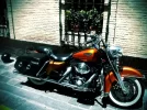 la foto 1.webp