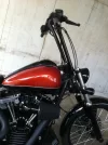 BlackLineApes3.webp