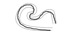 5f5dzc.webp