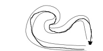 5f5dzc.webp