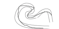 trazadaconmiedo.webp