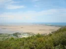 DSC06508RE.webp
