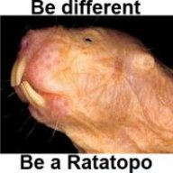 Ratatopo