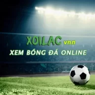 ttbongda