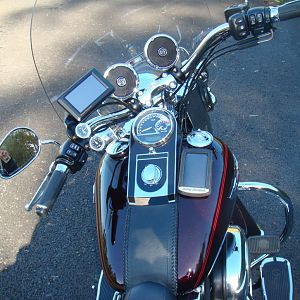 Softail Deluxe '11