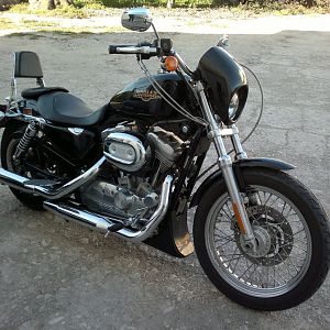 La Sportster 883 de Javier y Nieves