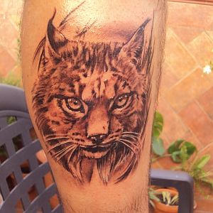 lince tatoo