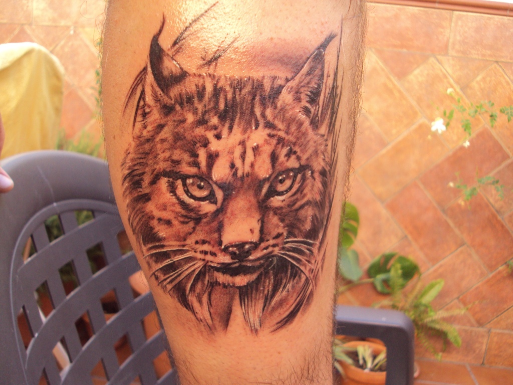 lince tatoo