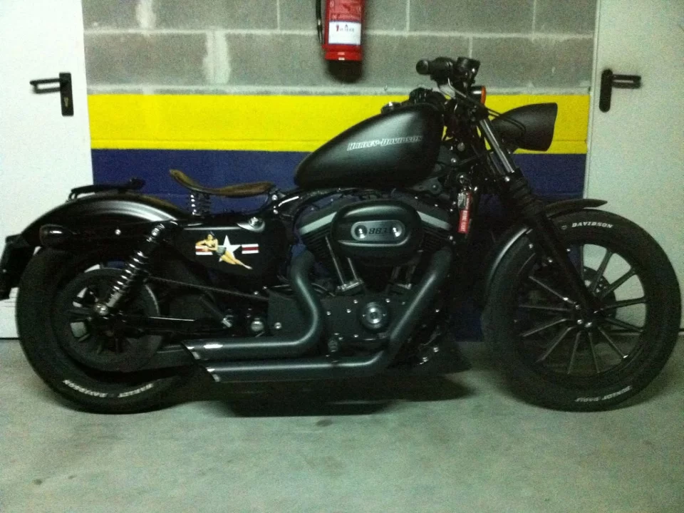 Mi burra aun sin terminar.........