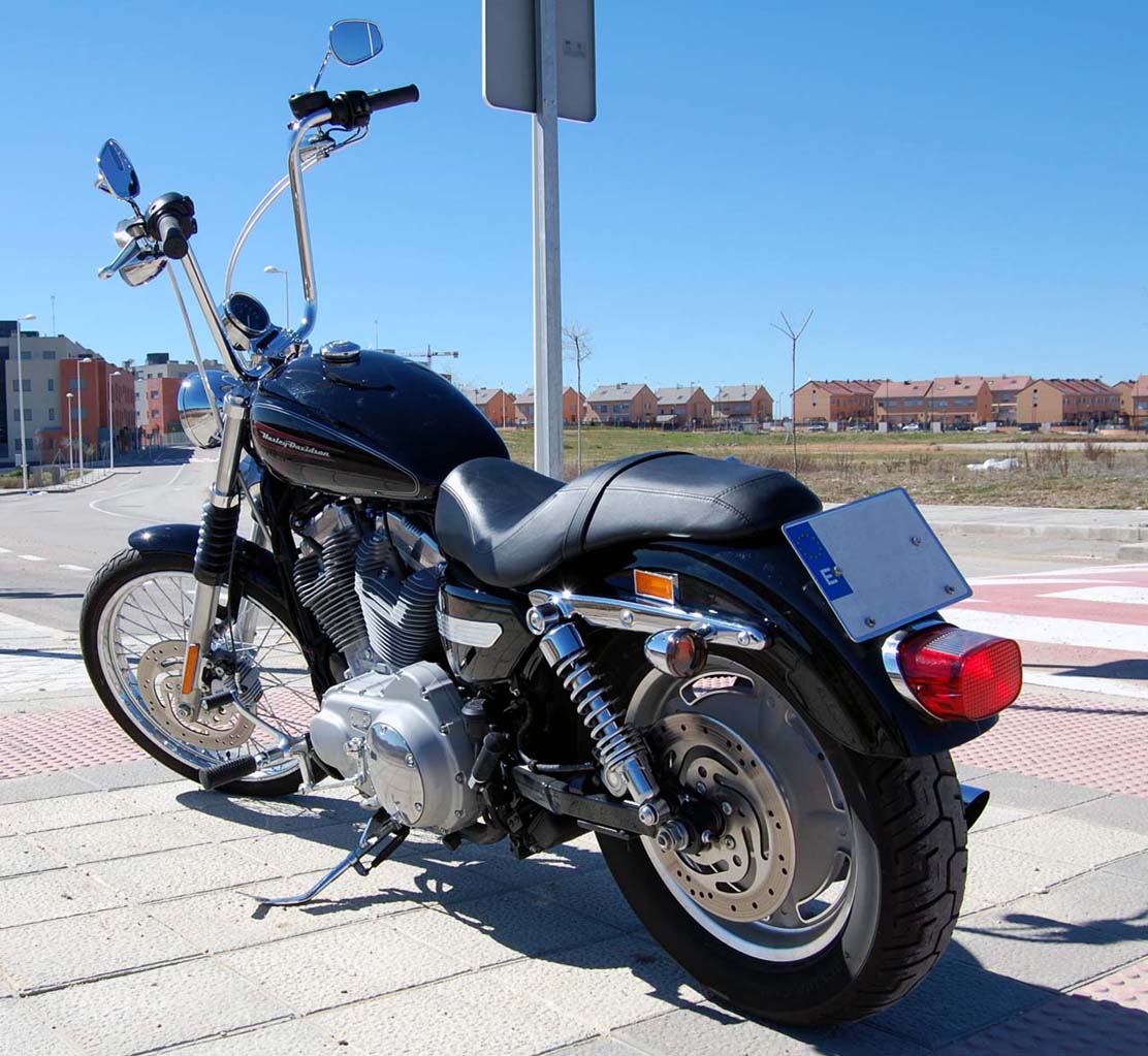 Sportster 7